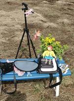 咲いてねーよ！