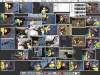 ３月ユキえくすぽぜ