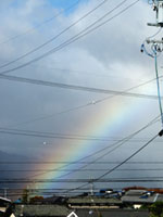 rainbowNov1203.jpg