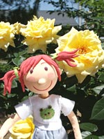 ６月ユキちゃん